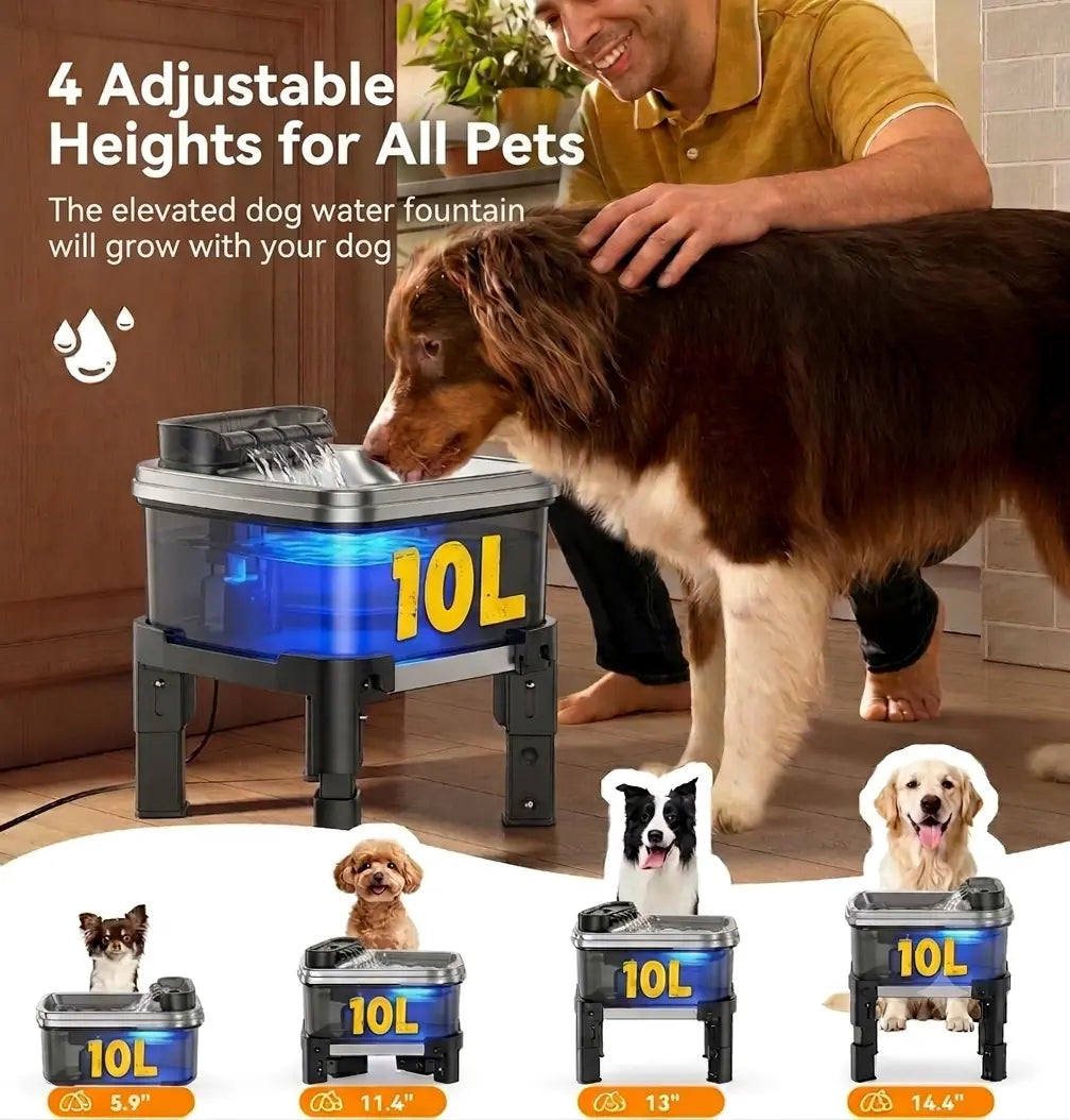 Height Adjustable Pet Water Fountain - 10L Elevated Dog Water Bowl with Filtration System, 4-Level Adjustable Stainless Steel Dispenser for Cats and Dogs, Ultra-Quiet Operation, Spill-Free Design